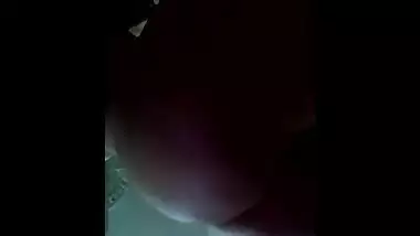 Desi Punjabi wife porn video