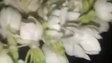 Wife Blowjob